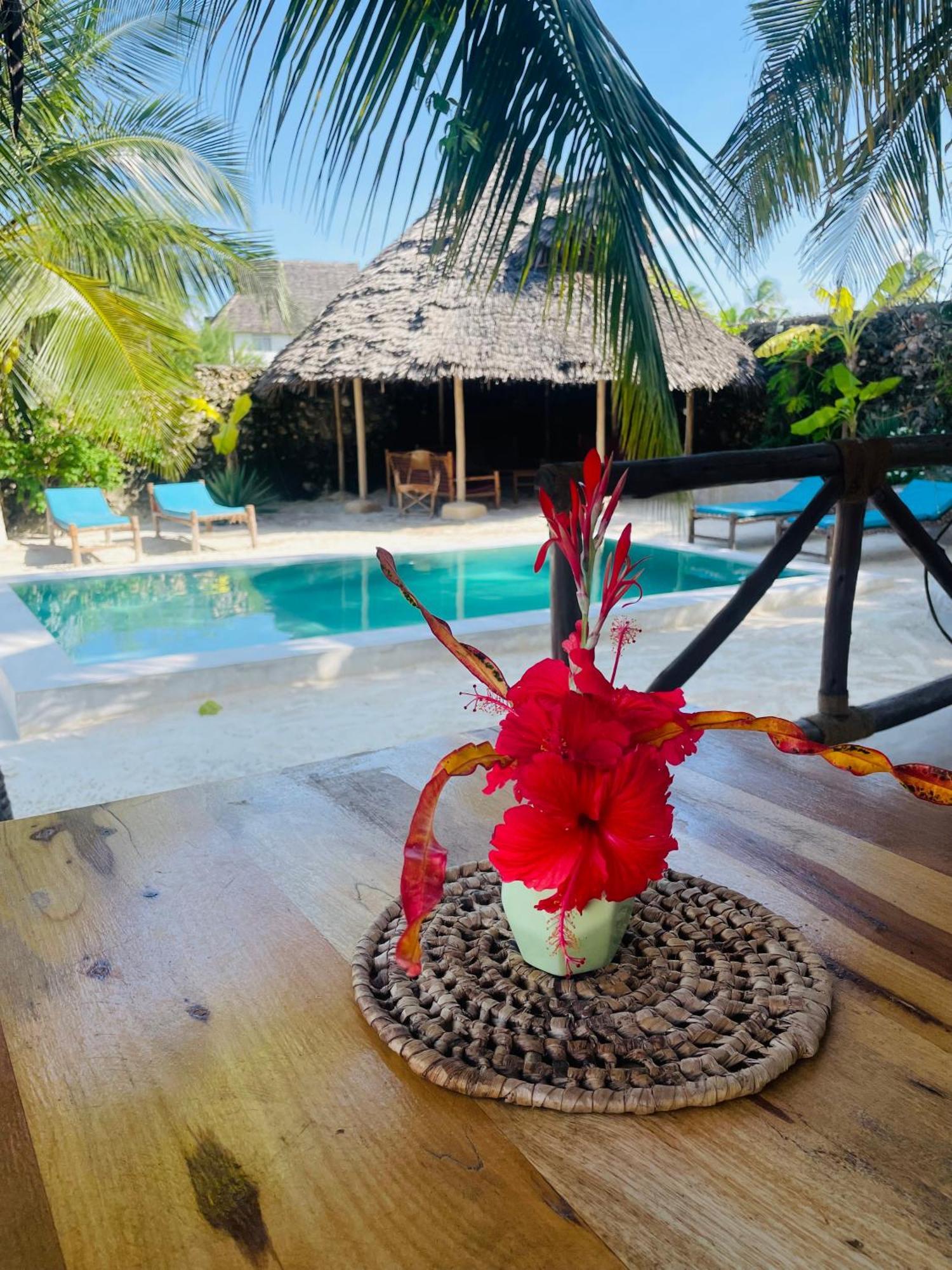 Sand Beach Boutique Apartments Bwejuu Exteriör bild